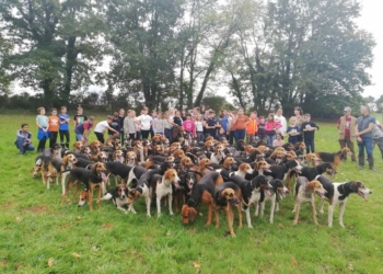 Longué-Jumelles. Les collégiens de l’Option Nature partent sur la piste du grand gibier…