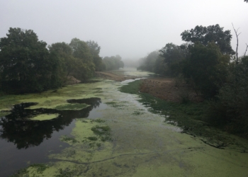 Saumurois. Redonner au Thouet son fil historique pour améliorer la qualité de l’eau