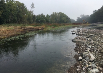 Saumurois. Redonner au Thouet son fil historique pour améliorer la qualité de l’eau