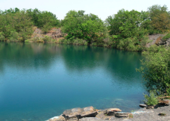 Lu, vu, entendu, ce qu’il ne fallait pas manquer près de chez vous