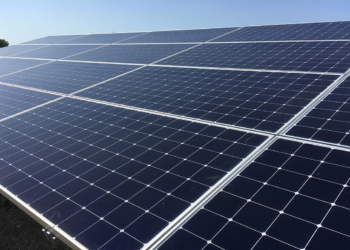 Montreuil-Bellay : Début de chantier de construction de la centrale photovoltaïque du Champ-de-Liveau