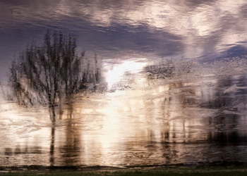 Du 2 au 18 décembre à Montsoreau : Une auteure-photographe et un laqueur exposent