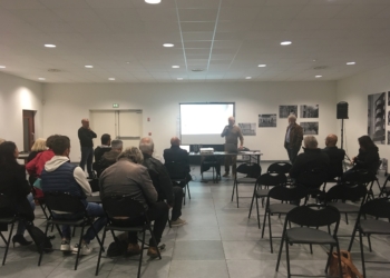 Saumur. L’invasion de fourmis a été relativement contenue cet été