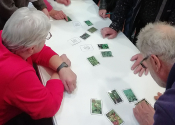 Environnement. Une journée pour découvrir l’arbre avec le PNR Loire Anjou Touraine