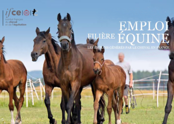 La filière cheval recrute avec Équi-ressources : Rendez-vous Salon du Cheval d’Angers du 11 au 13 novembre