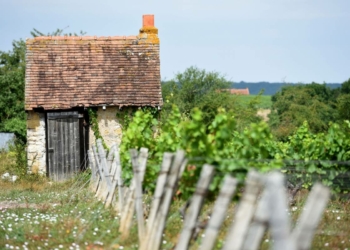 Maine-et-Loire. Restaurer les loges de vignes