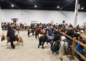 Record de fréquentation pour le Salon du Cheval d’Angers !