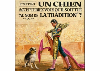 Météo du mardi 15 novembre. La SPA milite avec une campagne choc contre la corrida