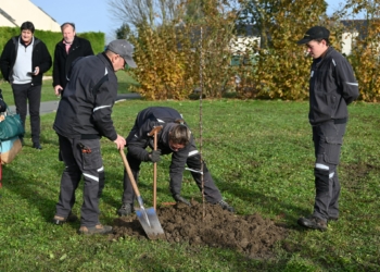 Montreuil-Bellay. Une naissance – un arbre : 40 arbres plantés