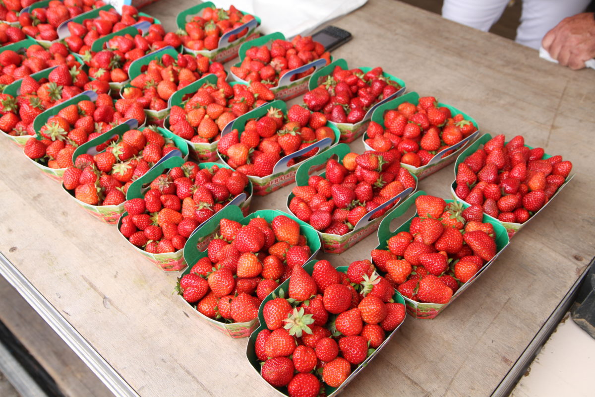 fete-des-fraises - Saumur Kiosque