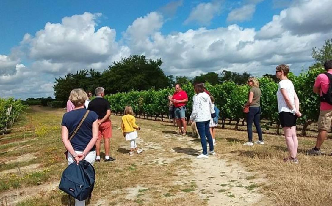 vignerons-pique-nique - Saumur Kiosque
