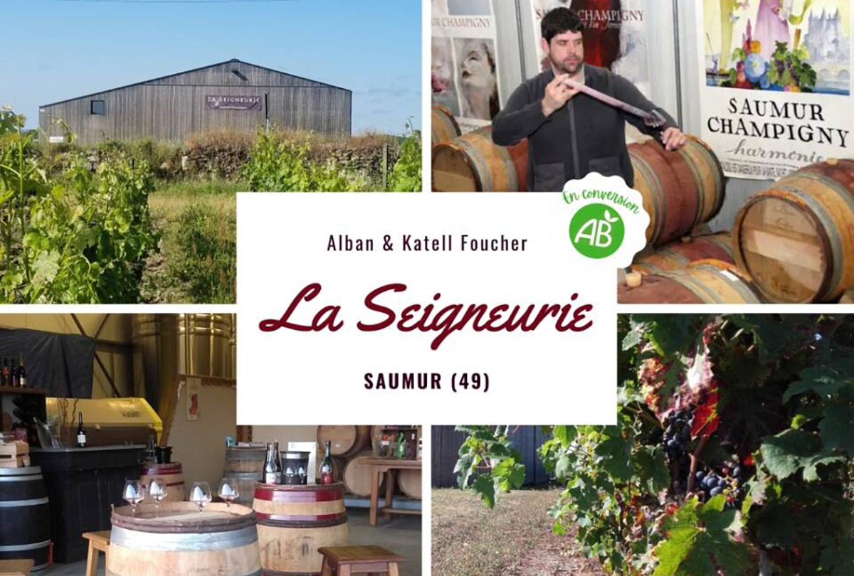 segneurie - Saumur Kiosque