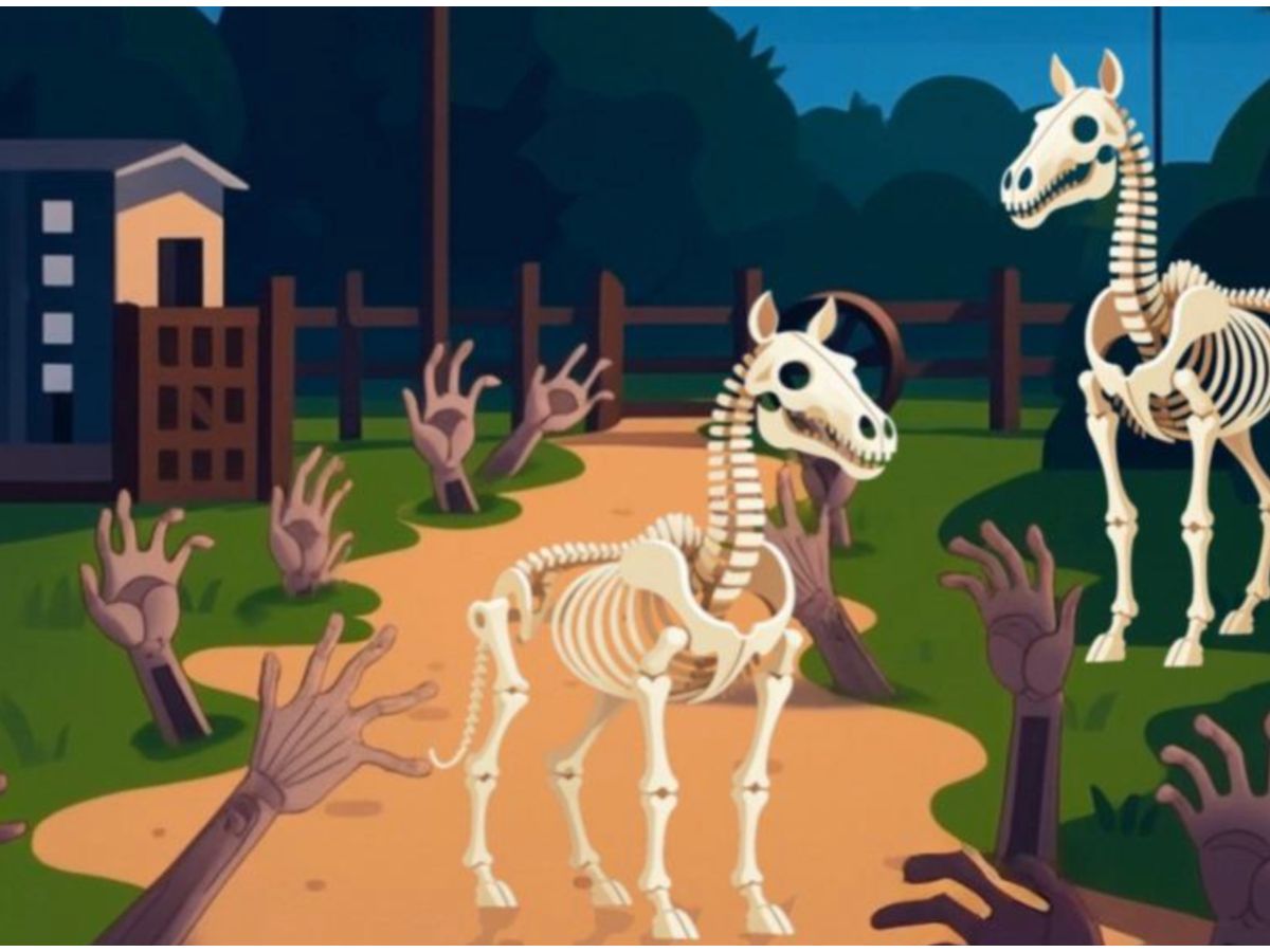 Saumur. « L’effrayant Halloween » de l’association Equipassion