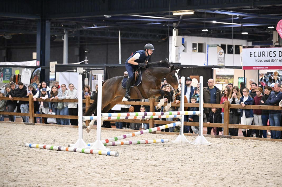 Angers. J-2 avant l’ouverture de la 9e édition du Salon du Cheval