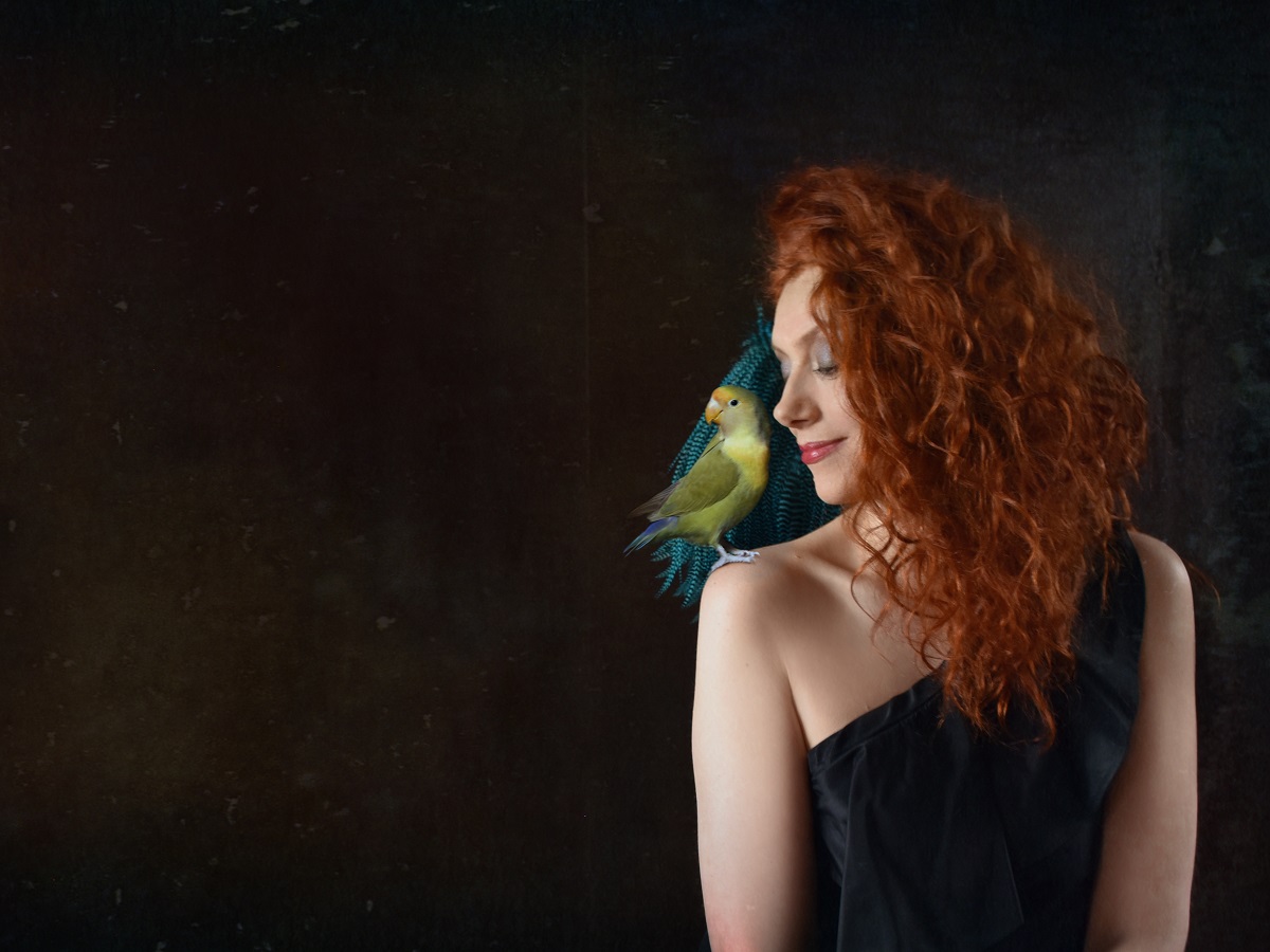 19 décembre à Saumur. « La bonne cuisine, tout en musique », un récital gourmand au Dôme