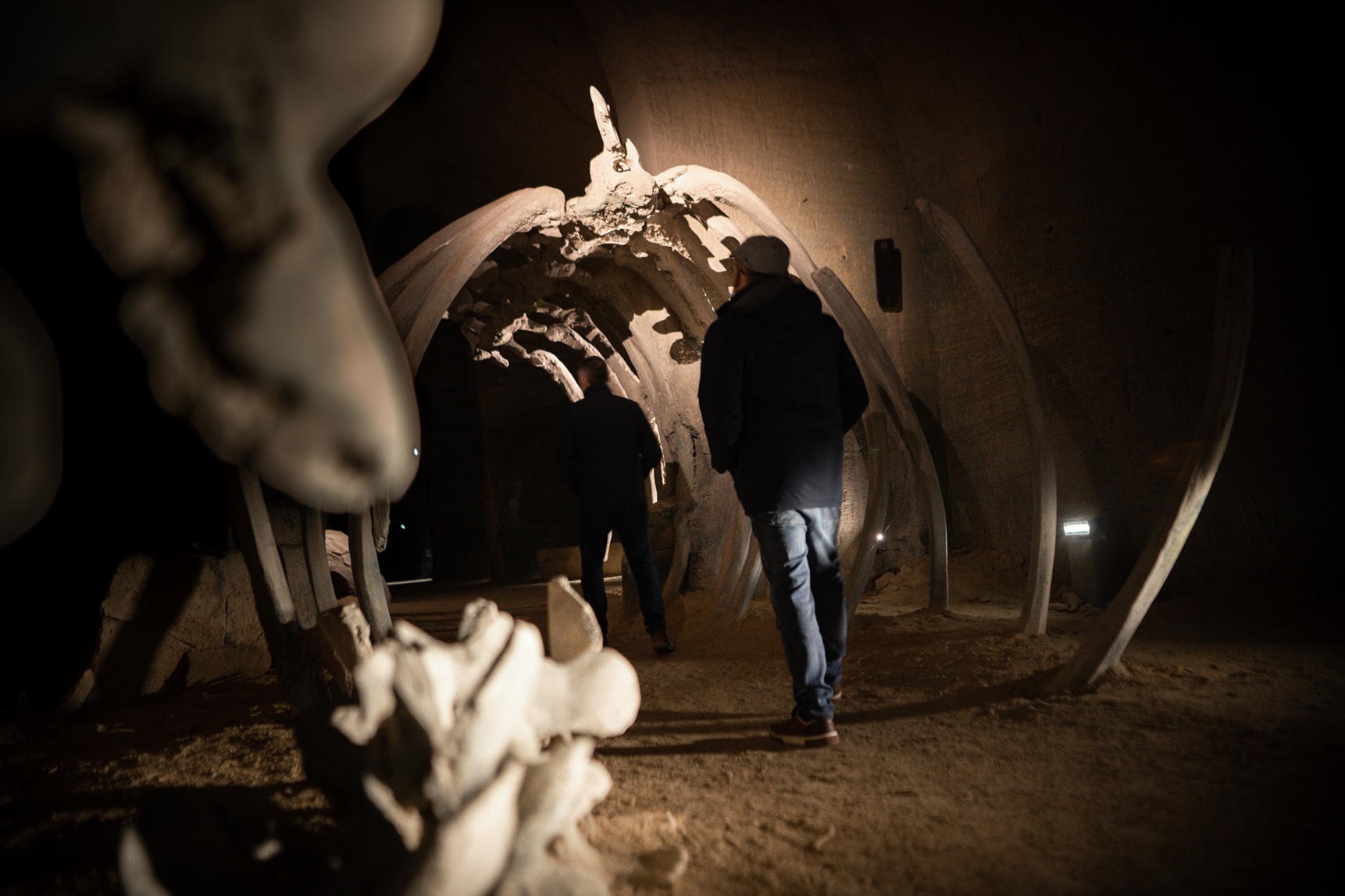 Doué-en-Anjou. Le Mystère des Faluns bat son record de fréquentation en 2025