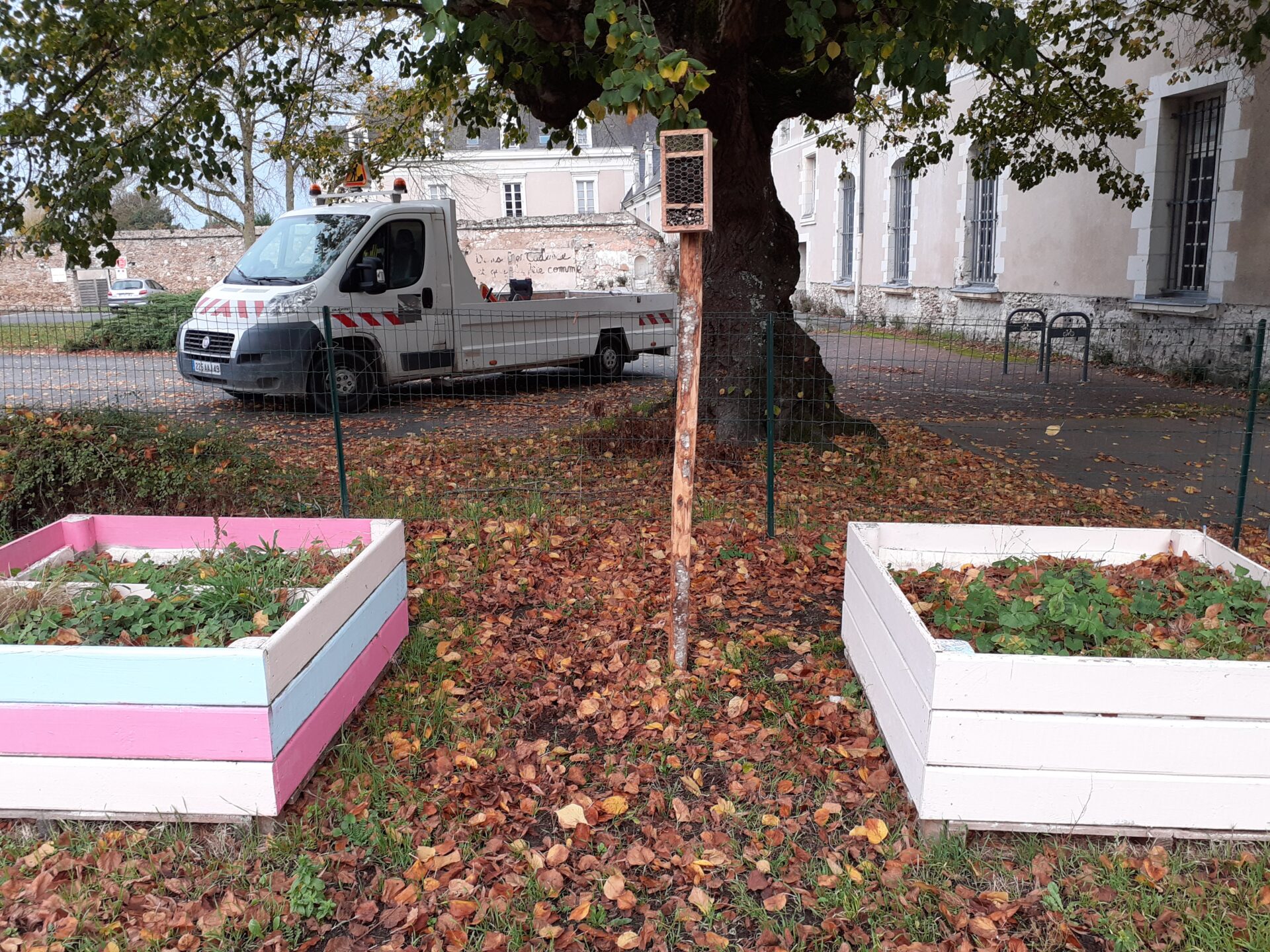 Beaufort-en-Anjou. Serviettes en tissu dans les restaurants scolaires, hôtels à insectes : De jeunes élus très impliqués pour l’environnement