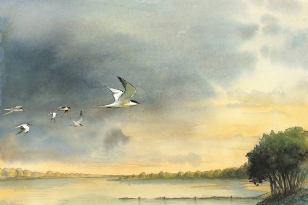 « Donner la parole au fleuve » : Une double exposition à Saumur et Montreuil-Bellay pour rendre hommage à la Loire