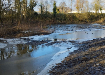 Saumur. Pourquoi l’Agglo a-t-elle restauré trois annexes hydrauliques du Thouet ?