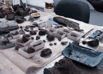 Chinon. Qu’est-ce que tu fouilles ? : Une exposition sur le chantier de fouille du cinéma Le Rabelais