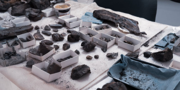 Chinon. Qu’est-ce que tu fouilles ? : Une exposition sur le chantier de fouille du cinéma Le Rabelais