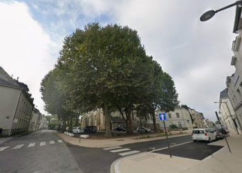 Saumur. Le stationnement sur la place Saint Nicolas en partie impacté par l&rsquo;élagage des platanes