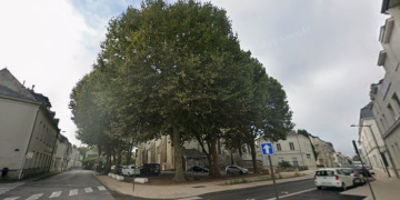 Saumur. Le stationnement sur la place Saint Nicolas en partie impacté par l&rsquo;élagage des platanes