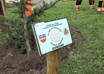 Saumur. Un arbre planté pour célébrer et enraciner les 50 ans de jumelage entre Saumur et Warwick