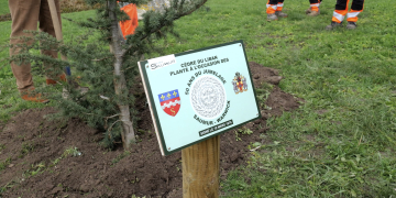 Saumur. Un arbre planté pour célébrer et enraciner les 50 ans de jumelage entre Saumur et Warwick