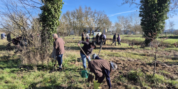 Saumur. En images : Une micro-forêt a vu le jour près du cinéma !