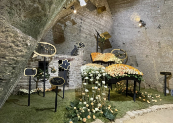 11 au 14 juillet à Doué-en-Anjou. Les Journées de la Rose reviennent dans les Arènes avec tout un programme !