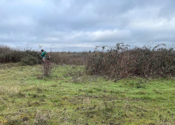 Montreuil-Bellay. La Réserve naturelle régionale de la Champagne de Méron une zone à entretenir et préserver