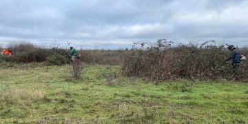 Montreuil-Bellay. La Réserve naturelle régionale de la Champagne de Méron une zone à entretenir et préserver