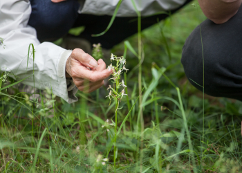 Loire-Anjou-Touraine. Découvrir le territoire autrement avec l’agenda des animations du Parc