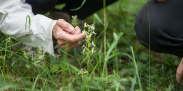 Loire-Anjou-Touraine. Découvrir le territoire autrement avec l’agenda des animations du Parc