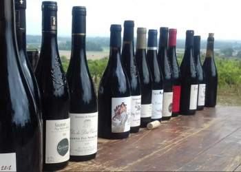 Saumurois. Quels vins ont été récompensés lors du Concours des Vins Saumurois ?
