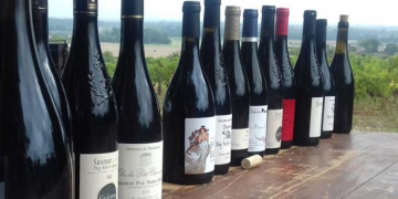 Saumurois. Quels vins ont été récompensés lors du Concours des Vins Saumurois ?