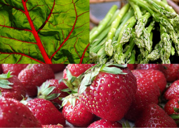 Nos conseils diététiques de la semaine. Avril dans l’assiette : fraîcheur, couleurs et renouveau