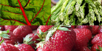 Nos conseils diététiques de la semaine. Avril dans l’assiette : fraîcheur, couleurs et renouveau