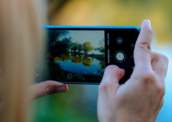Maine-et-Loire. Le Département lance un concours photo autour de l&rsquo;araignée
