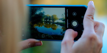Maine-et-Loire. Le Département lance un concours photo autour de l&rsquo;araignée