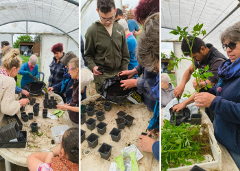 Saint-Macaire-du-Bois. Une matinée d’échanges et de partage au Jardin Bio d’Aspire