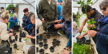 Saint-Macaire-du-Bois. Une matinée d’échanges et de partage au Jardin Bio d’Aspire
