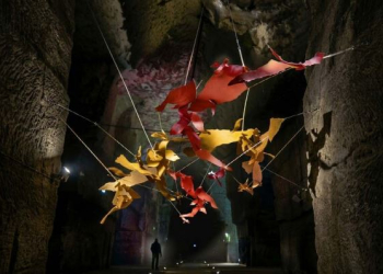 Saumur. “L’effervescence créative”, le nouveau parcours de visite d’Ackerman