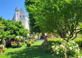 6 et 7 juin à Lémeré. Fête des Roses du Rivau, une journée de rêve au royaume des roses parfumées !