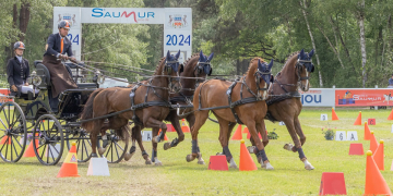 Verrie. Saumur Attelage revient pour une 41e édition dans une semaine