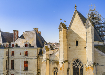 Thouars. Un nichoir à faucon pèlerin installée sur une chapelle au cœur de la ville