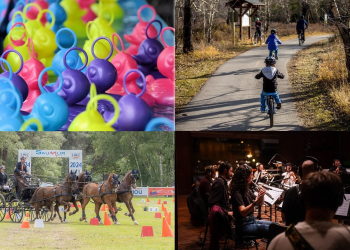Vendredi 29, samedi 30, dimanche 31 mai : des idées de sorties pour ce week-end en Saumurois et alentours