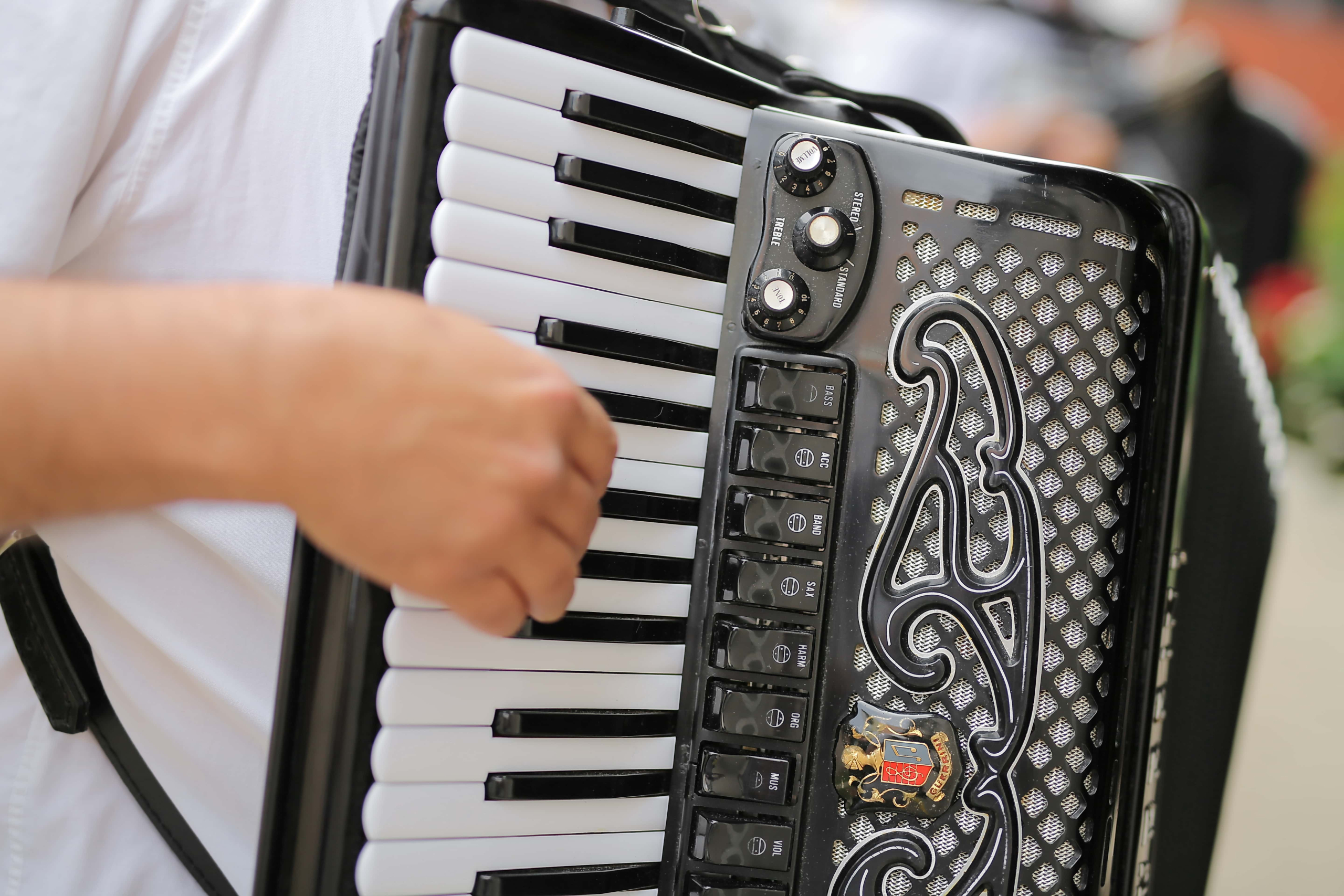 July 5th in Montreuil-Bellay. Music in the home: Concert by accordionist Didier Buisson