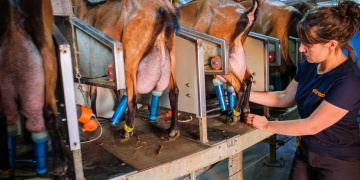Maine-et-Loire. Qui va remplacer les agriculteurs cet été ?